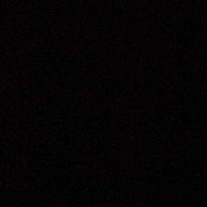 Meet your Posher, Brannon